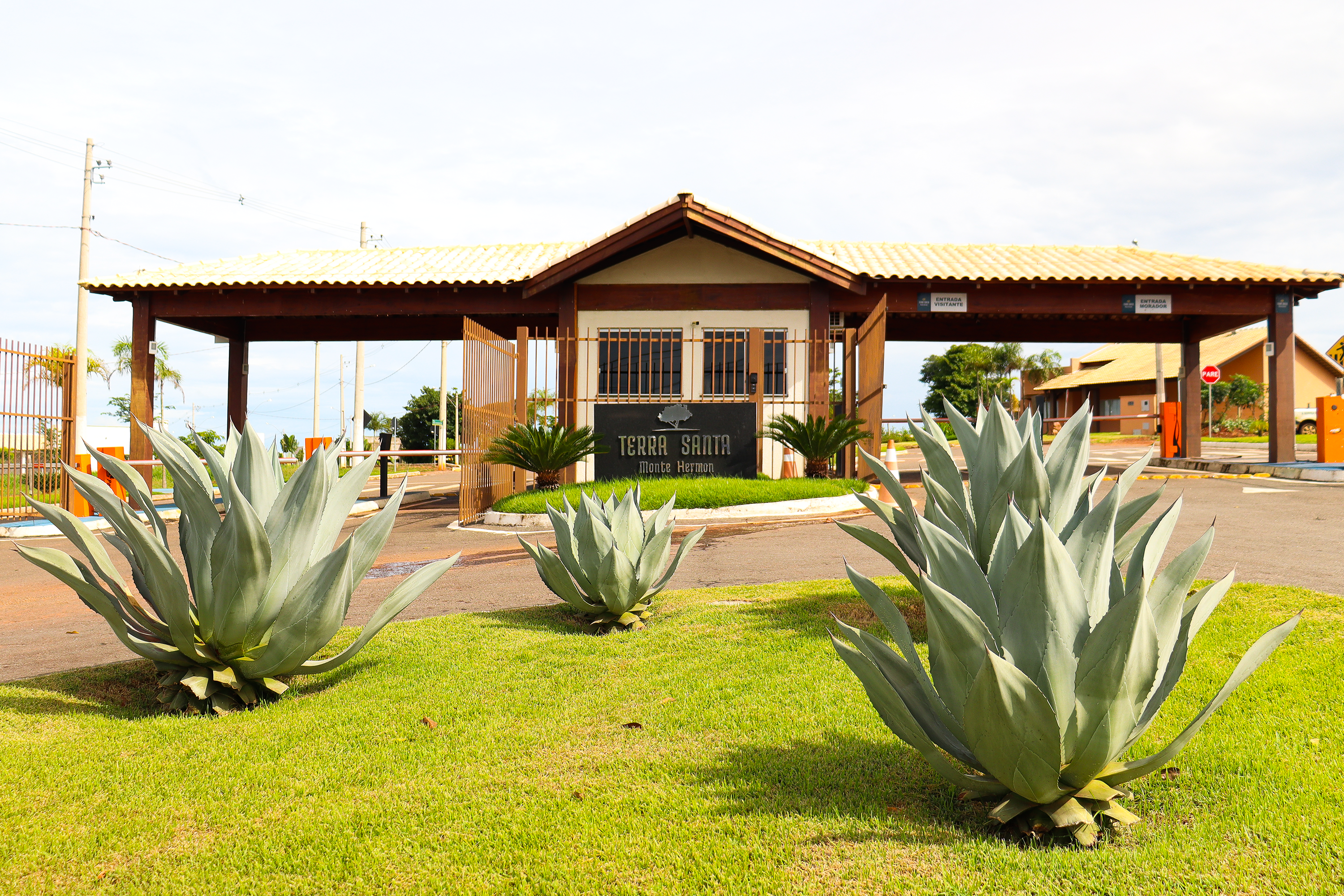 Lotes altos com vistas exclusivas