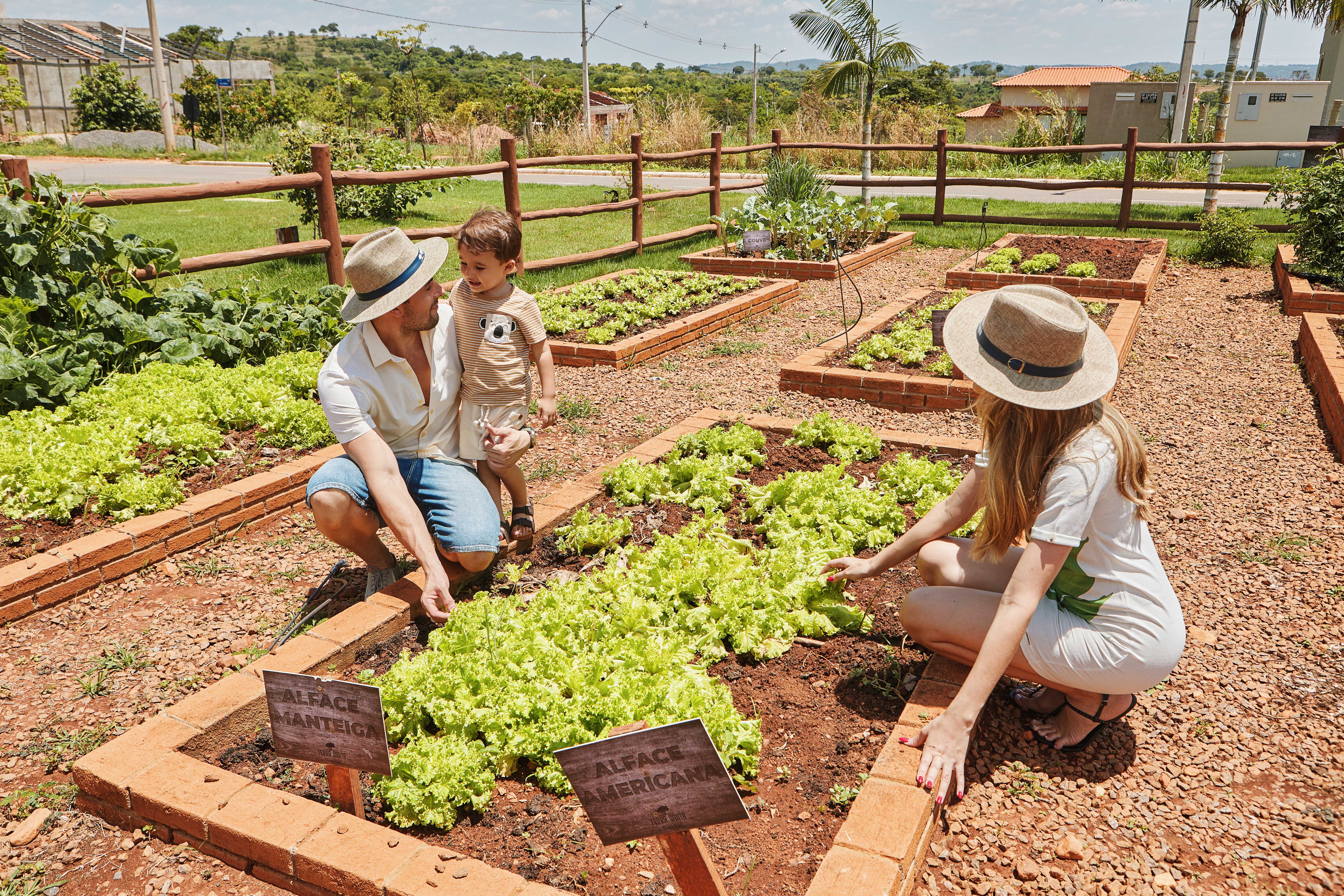 Terra Santa Monte Sião