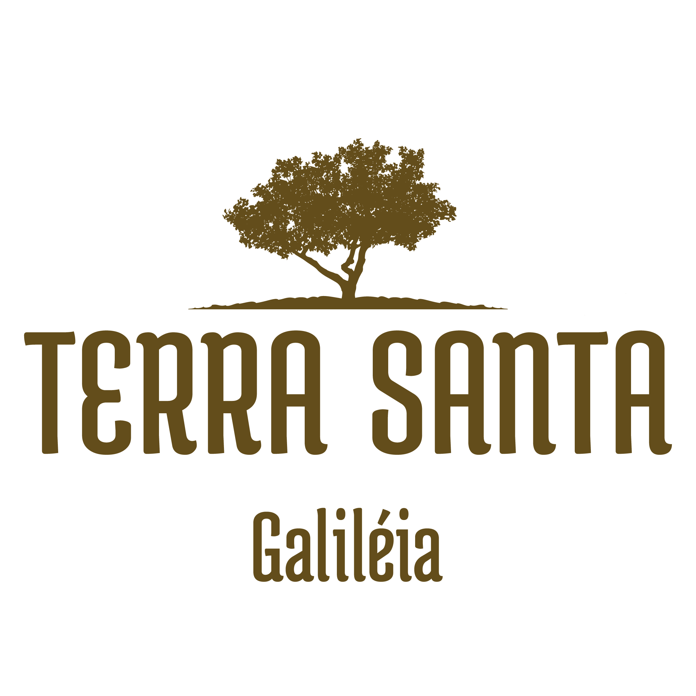 Logo Terra Santa Galiléia
